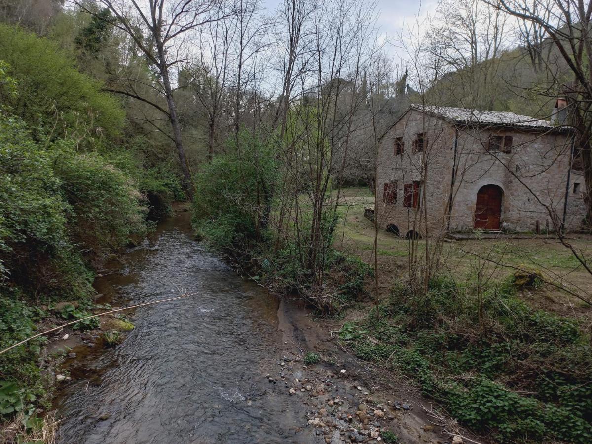 Appartamenti A Pitigliano Zewnętrze zdjęcie