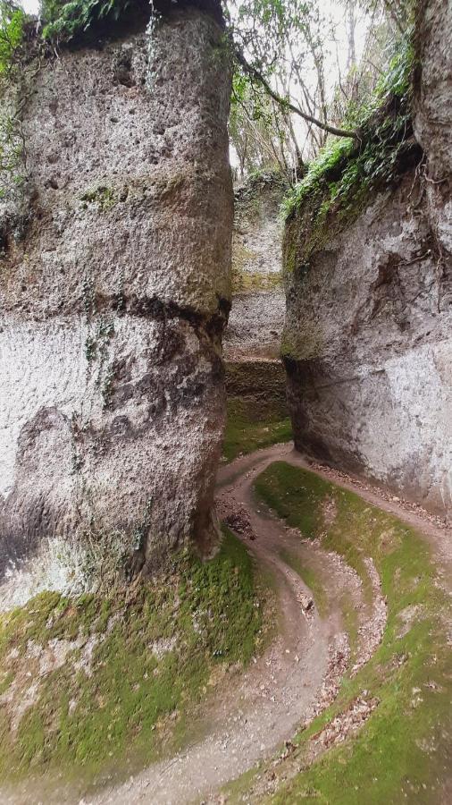 Appartamenti A Pitigliano Zewnętrze zdjęcie